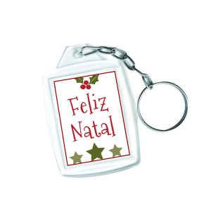 Chaveiro Acrílico Acrílico 3x4cm Frente e Verso Transparente Argola Padrão 